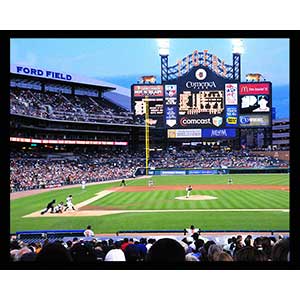 Tigers Game