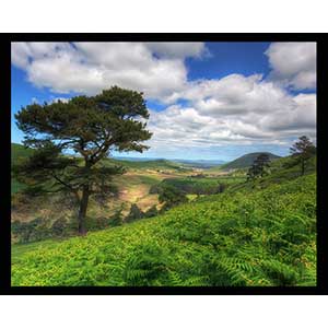 Morne View - Ireland