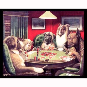 A Bold Bluff