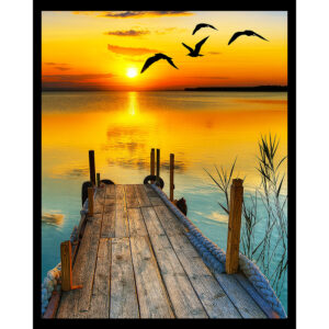 A Place to Dream