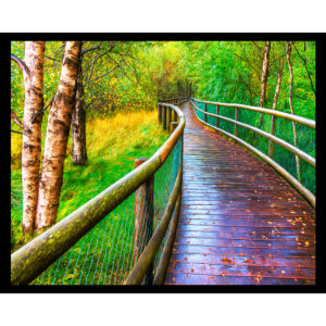 Along the Boardwalk
