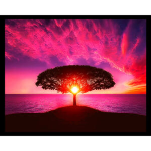 Amazing Sunset