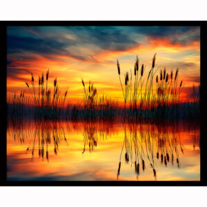 Amber Reeds