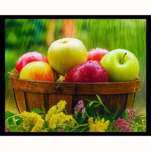 Apples and Yarrow