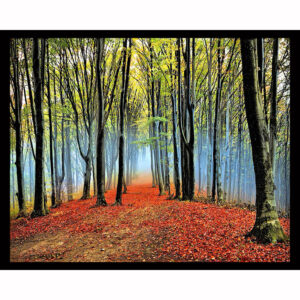 Autumn Fog