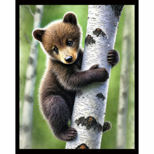 Baby Bear