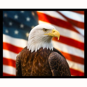 Bald Eagle on US Flag