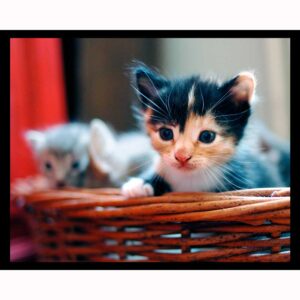 Basket Case