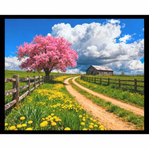 Bloom Road
