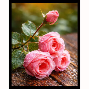 Blush of the Garden