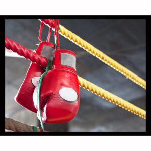 Boxing Gloves