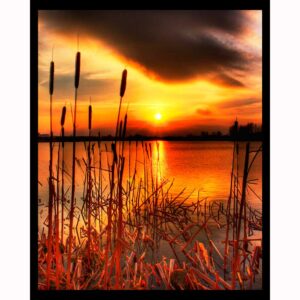 Bullrush Sunset