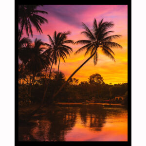 Caribbean Dream