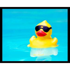 Cheap Sunglasses - Horizontal