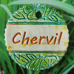 Chervil Garden Charm