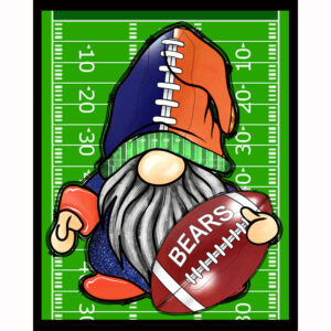 Bears Gnome