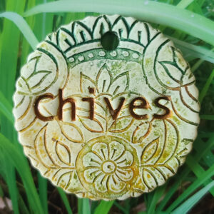 Chives Garden Charm