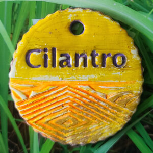 Cilantro Garden Charm
