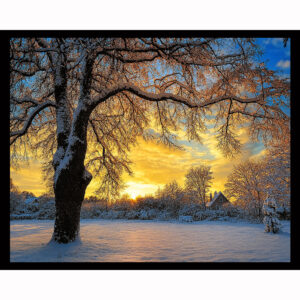 Cold Winter Morning