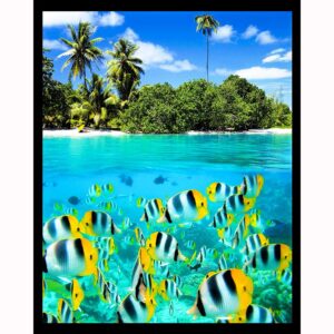 Coral Reef Fish