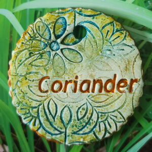 Coriander Garden Charm