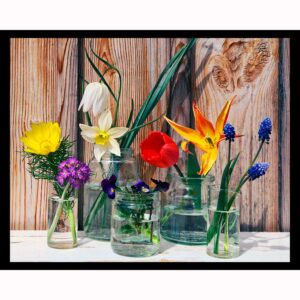 Cut Flowers