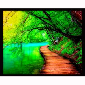 Deep Forest Stream