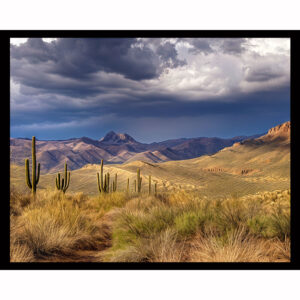 Desert Southwest
