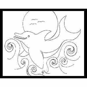 Dolphin