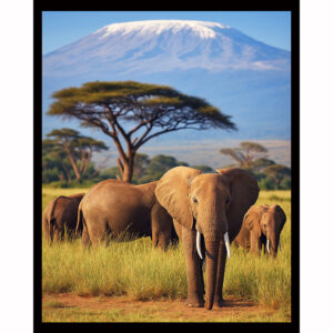 Elephant Watch