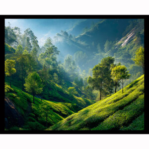 Emerald Valley