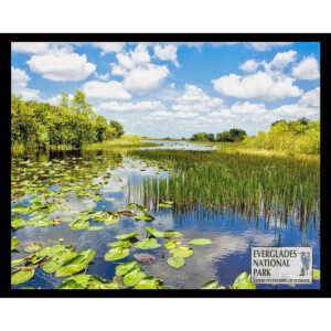 National Parks Series #05: Everglades National Park