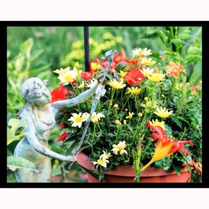 Fairy Garden