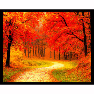 Fall Red