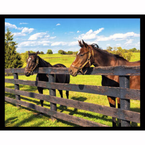 Farm Horses