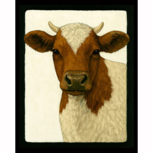 Farmstead Cow