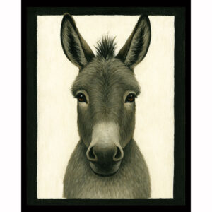 Farmstead Donkey