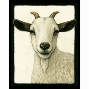 Farmstead Goat