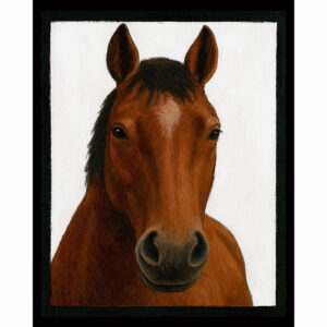Farmstead Horse