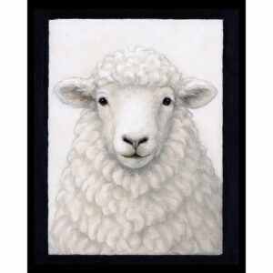 Farmstead Sheep