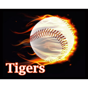 Flaming Baseball Tigers