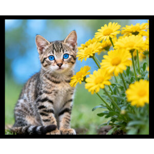 Floral Kitty