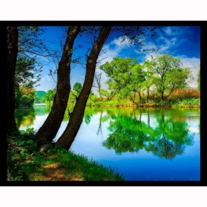 Forest River