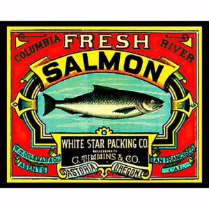 Fresh Salmon