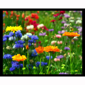 Garden Pallet