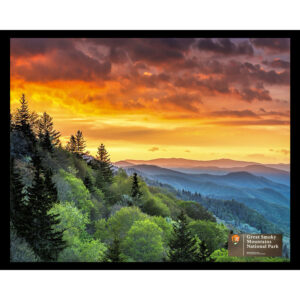 National Parks Series #09: Great Smoky Mountains National Park