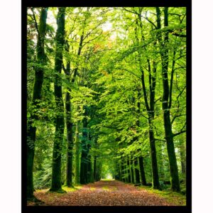 Green Pathway