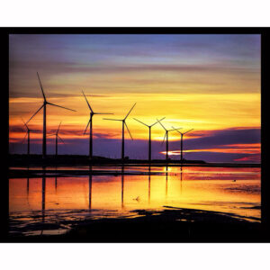 Green Sunset