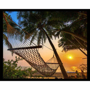 Hammock Sunset