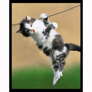 Hang in There
